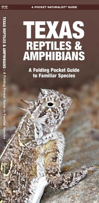 Texas Reptiles & Amphibians Texas Reptiles & Amphibians