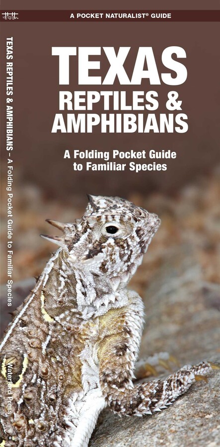 Texas Reptiles & Amphibians