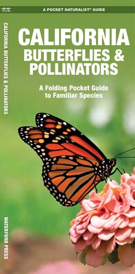 California Butterflies & Pollinators California Butterflies & Pollinators
