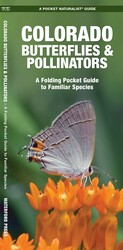 Colorado Butterflies & Pollinators