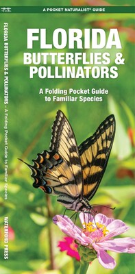 Florida Butterflies & Pollinators Florida Butterflies & Pollinators