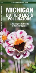 Michigan Butterflies & Pollinators
