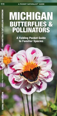 Michigan Butterflies & Pollinators Michigan Butterflies & Pollinators
