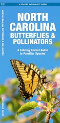North Carolina Butterflies & Pollinators
