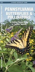 Pennsylvania Butterflies & Pollinators