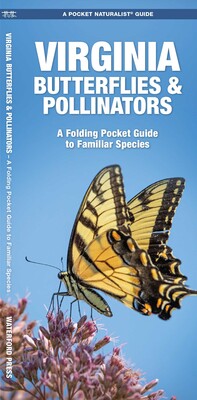 Virginia Butterflies & Pollinators Virginia Butterflies & Pollinators