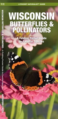 Wisconsin Butterflies & Pollinators Wisconsin Butterflies & Pollinators