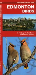 Edmonton Birds