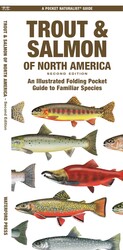 Trout & Salmon of North America Trout & Salmon of North America