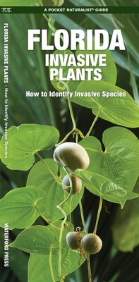 Florida Invasive Plants Florida Invasive Plants
