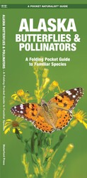 Alaska Butterflies & Pollinators