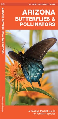 Arizona Butterflies & Pollinators Arizona Butterflies & Pollinators