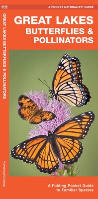 Great Lakes Butterflies & Pollinators Great Lakes Butterflies & Pollinators