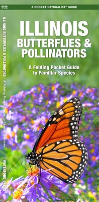 Illinois Butterflies & Pollinators Illinois Butterflies & Pollinators