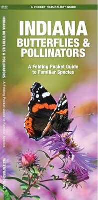Indiana Butterflies & Pollinators