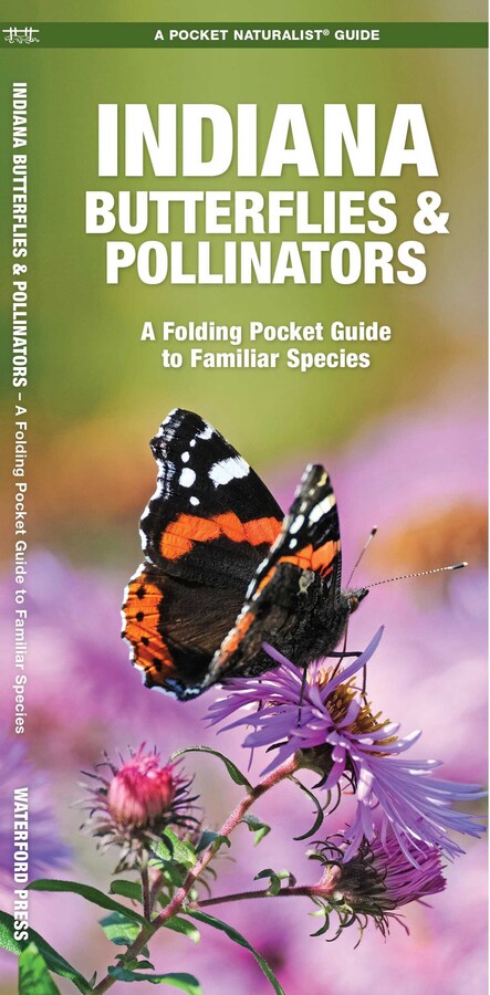 Indiana Butterflies & Pollinators