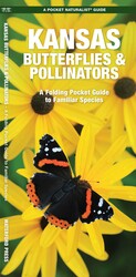 Kansas Butterflies & Pollinators