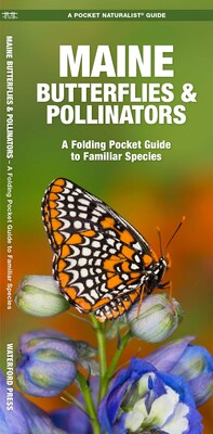 Maine Butterflies & Pollinators Maine Butterflies & Pollinators