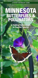 Minnesota Butterflies & Pollinators