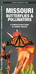 Missouri Butterflies & Pollinators