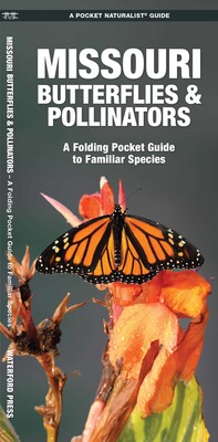 Missouri Butterflies & Pollinators