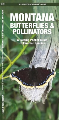 Montana Butterflies & Pollinators Montana Butterflies & Pollinators