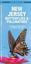 New Jersey Butterflies & Pollinators