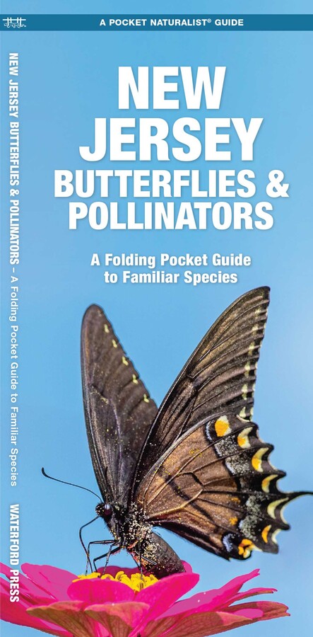 New Jersey Butterflies & Pollinators