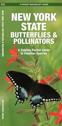 New York State Butterflies & Pollinators