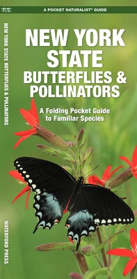 New York State Butterflies & Pollinators New York State Butterflies & Pollinators