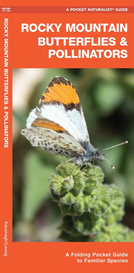Rocky Mountain Butterflies & Pollinators
