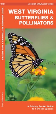 West Virginia Butterflies & Pollinators West Virginia Butterflies & Pollinators