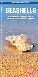 Seashells, 2nd Ed