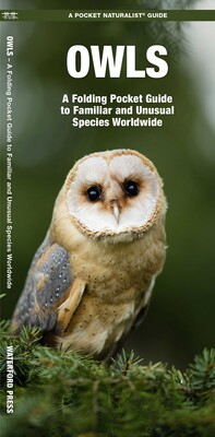 Owls Owls
