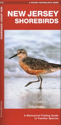 New Jersey Shorebirds New Jersey Shorebirds
