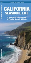 California Seashore Life, 2nd Ed