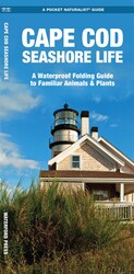 Cape Cod Seashore Life Cape Cod Seashore Life