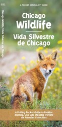 Chicago Wildlife/Vida Silvestre de Chicago