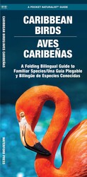 Caribbean Birds/Aves Caribenas Caribbean Birds/Aves Caribenas