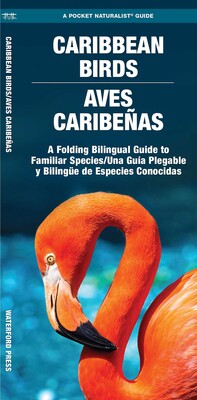 Caribbean Birds/Aves Caribenas Caribbean Birds/Aves Caribenas