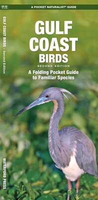 Gulf Coast Birds Gulf Coast Birds