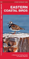 Eastern Coastal Birds Eastern Coastal Birds