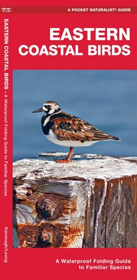 Eastern Coastal Birds Eastern Coastal Birds