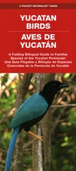 Yucatan Birds/Aves de Yucatan Yucatan Birds/Aves de Yucatan