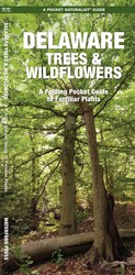 Delaware Trees & Wildflowers Delaware Trees & Wildflowers