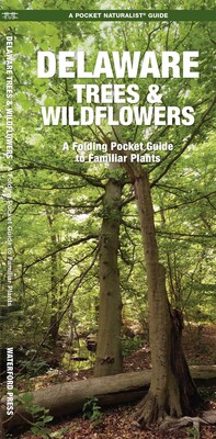 Delaware Trees & Wildflowers Delaware Trees & Wildflowers