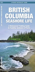 British Columbia Seashore Life British Columbia Seashore Life