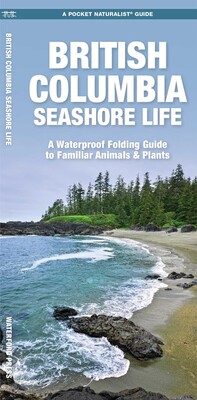 British Columbia Seashore Life British Columbia Seashore Life