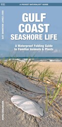 Gulf Coast Seashore Life Gulf Coast Seashore Life