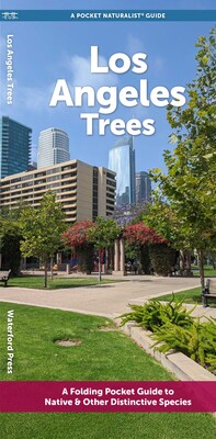Los Angeles Trees Los Angeles Trees
